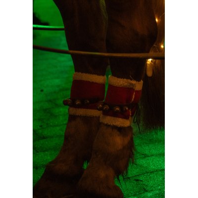 Kopie%20von%20weihnachtliche%20Hufen